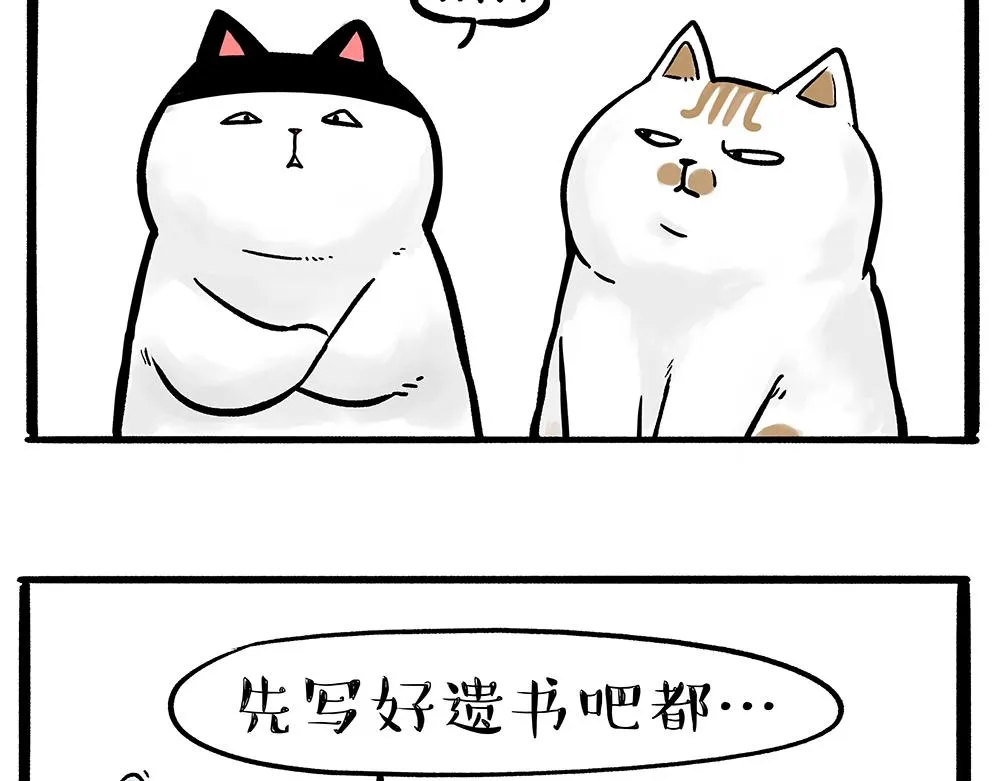 第331话 猫王争霸之“杀青” 第8页