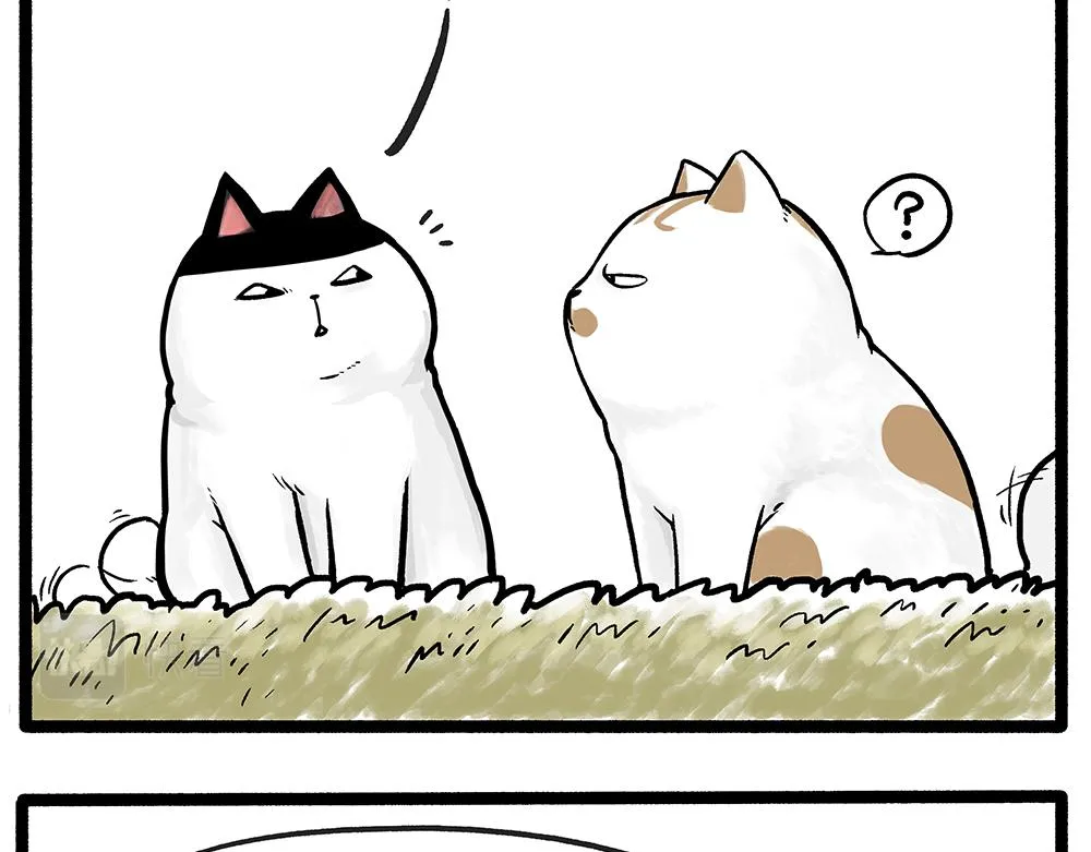 第331话 猫王争霸之“杀青” 第12页