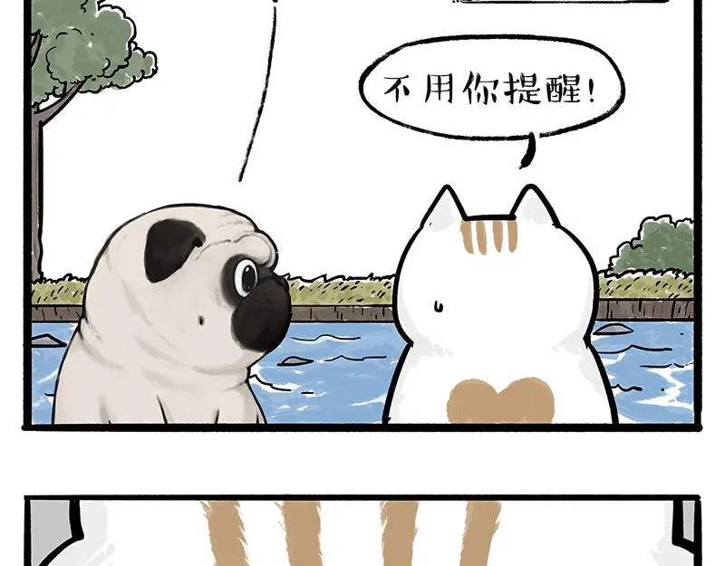 第331话 猫王争霸之“杀青” 第21页
