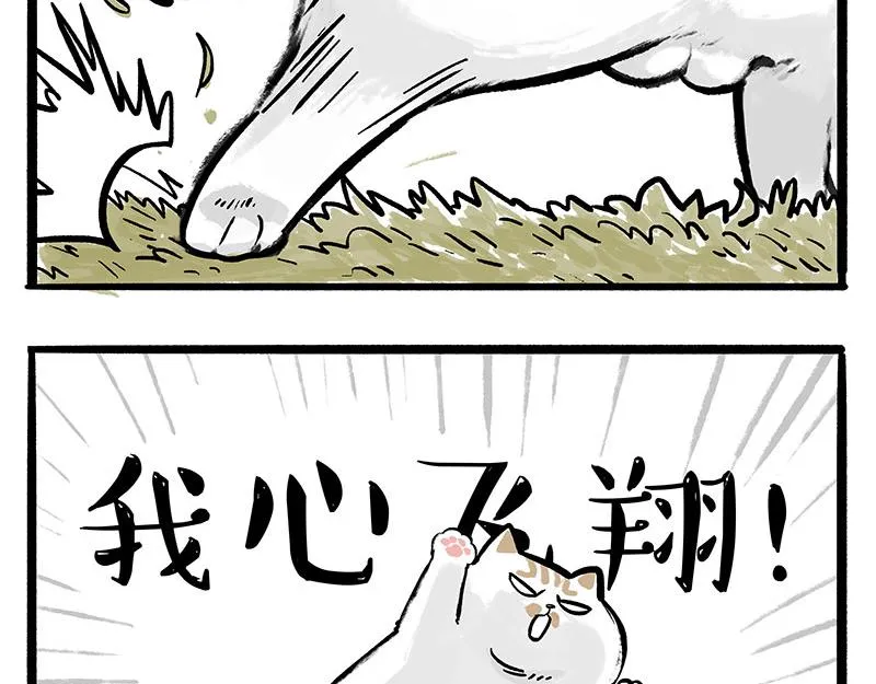 第331话 猫王争霸之“杀青” 第24页
