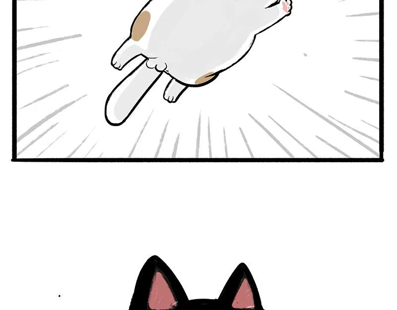 第331话 猫王争霸之“杀青” 第25页