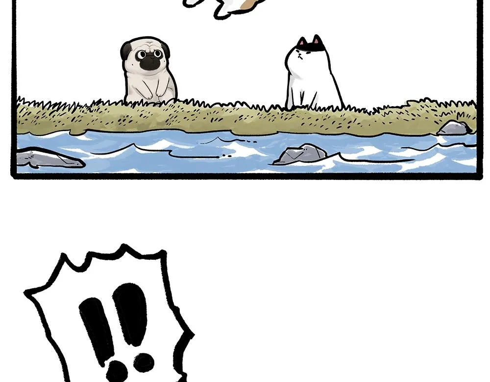 第331话 猫王争霸之“杀青” 第28页
