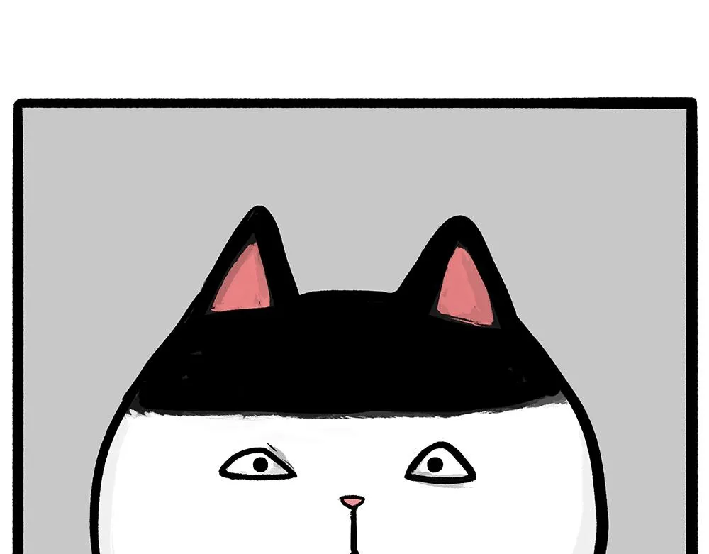 第331话 猫王争霸之“杀青” 第33页