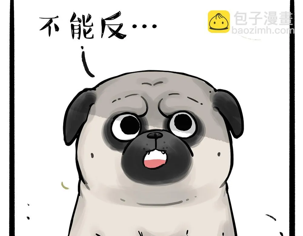 第331话 猫王争霸之“杀青” 第38页