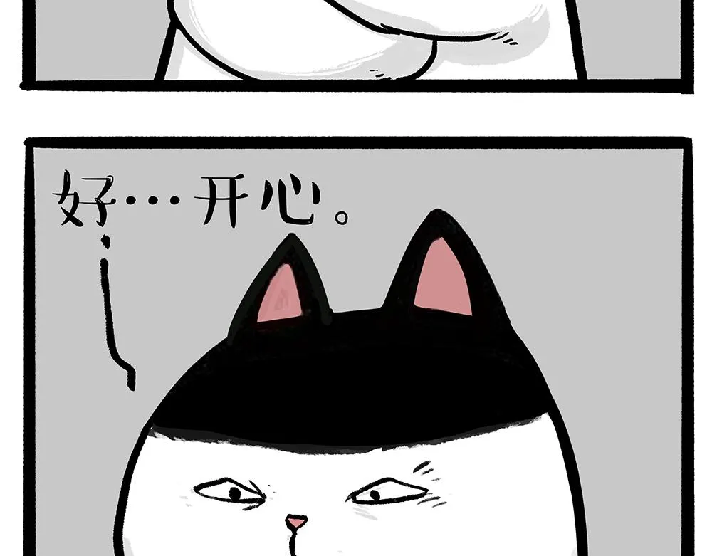 第331话 猫王争霸之“杀青” 第45页
