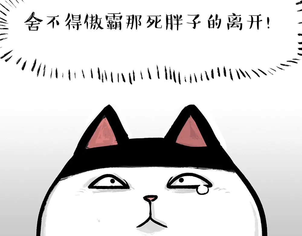 第331话 猫王争霸之“杀青” 第54页