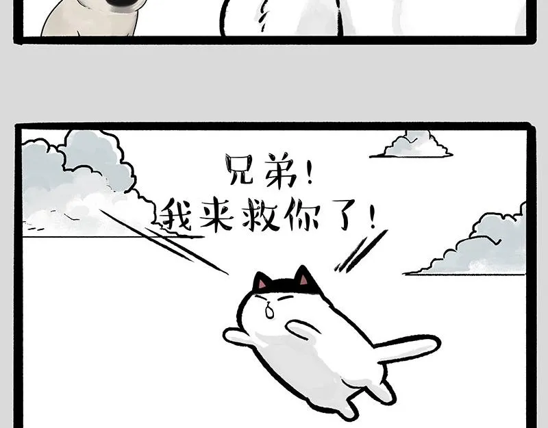 第331话 猫王争霸之“杀青” 第60页