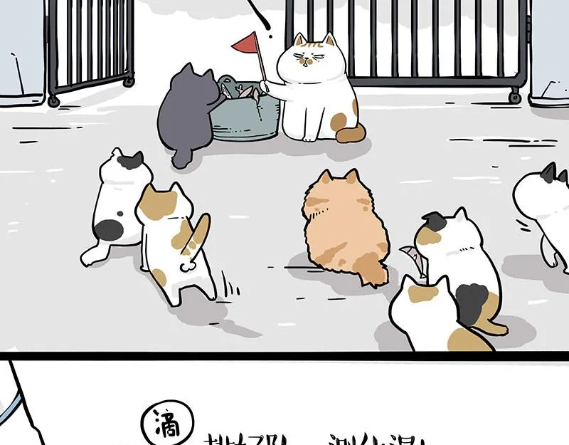 第328话 核酸后遗症 第22页
