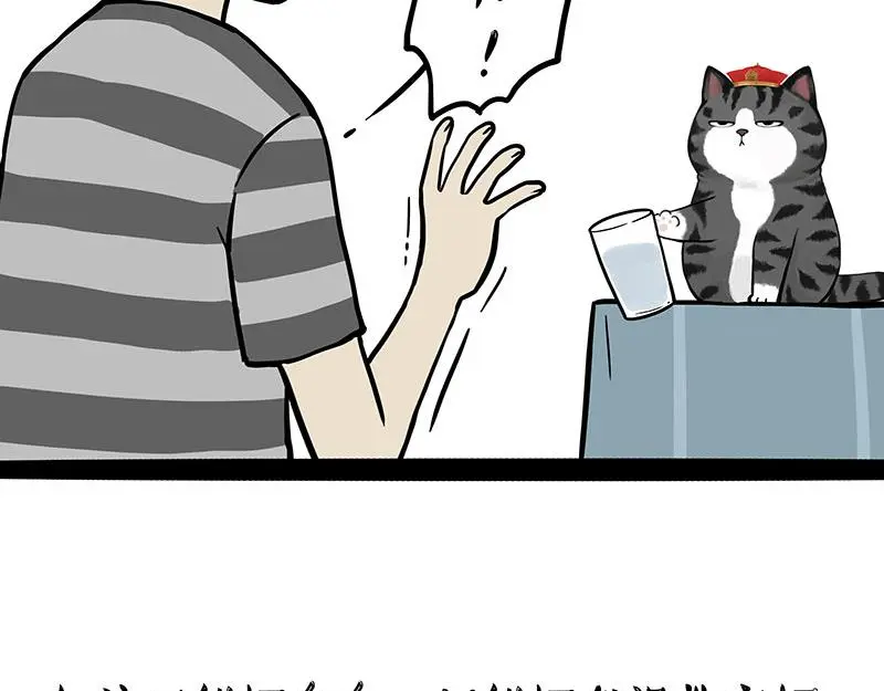 第325话 你不守猫德 第2页