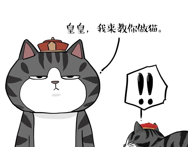 第325话 你不守猫德 第7页