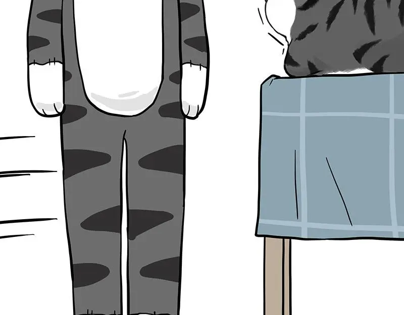 第325话 你不守猫德 第8页