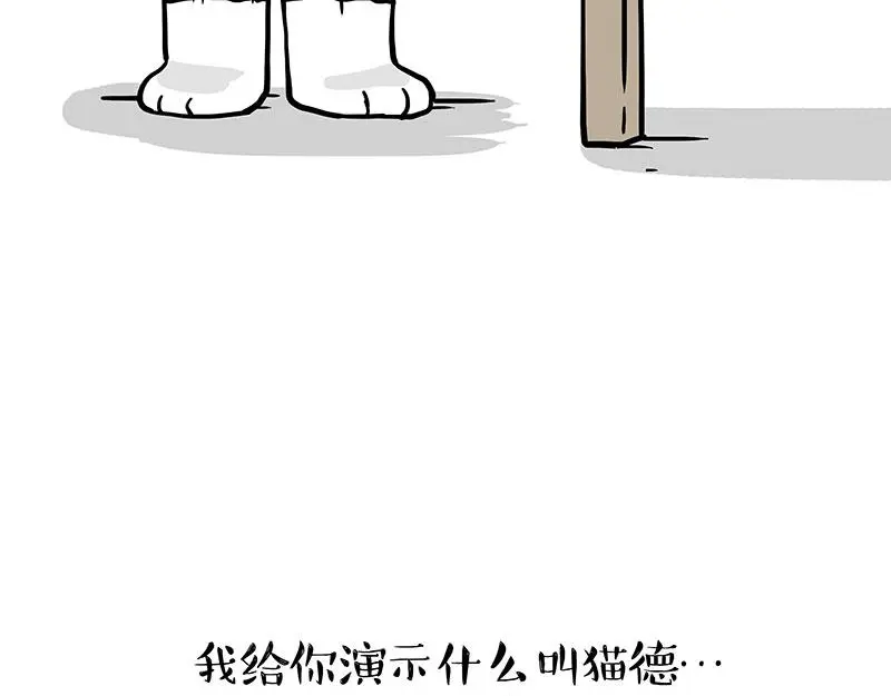 第325话 你不守猫德 第9页