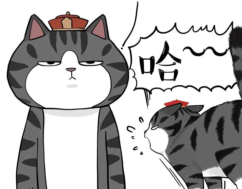 第325话 你不守猫德 第10页