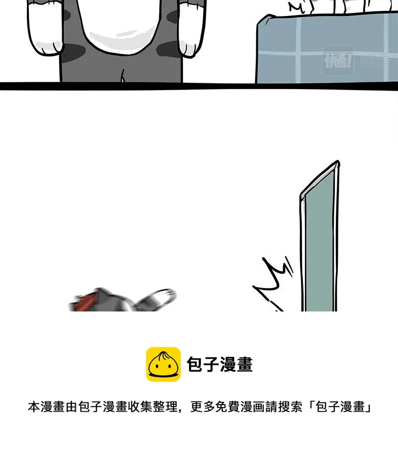 第325话 你不守猫德 第11页