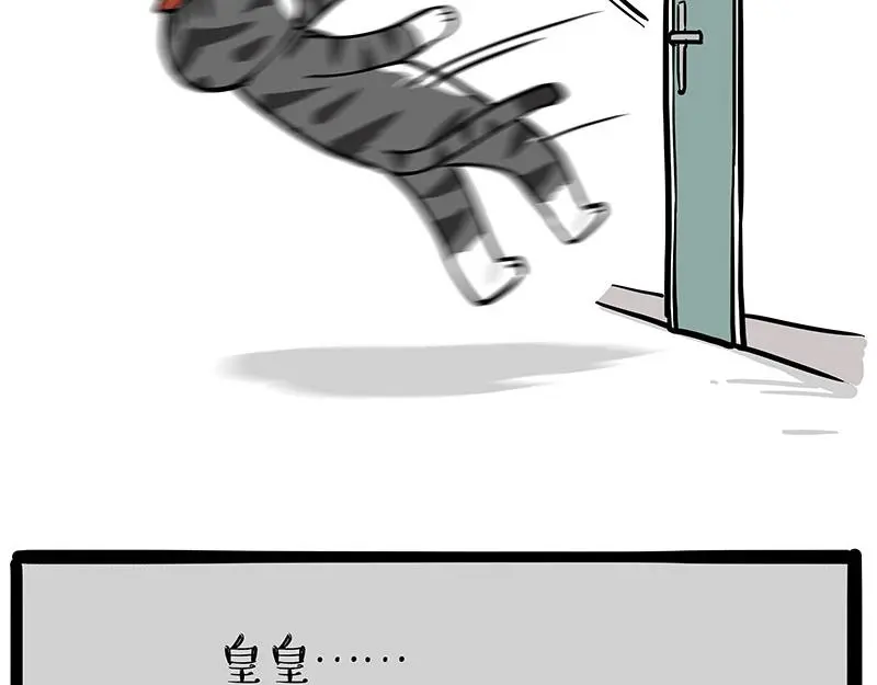 第325话 你不守猫德 第12页
