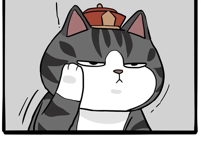 第325话 你不守猫德 第13页