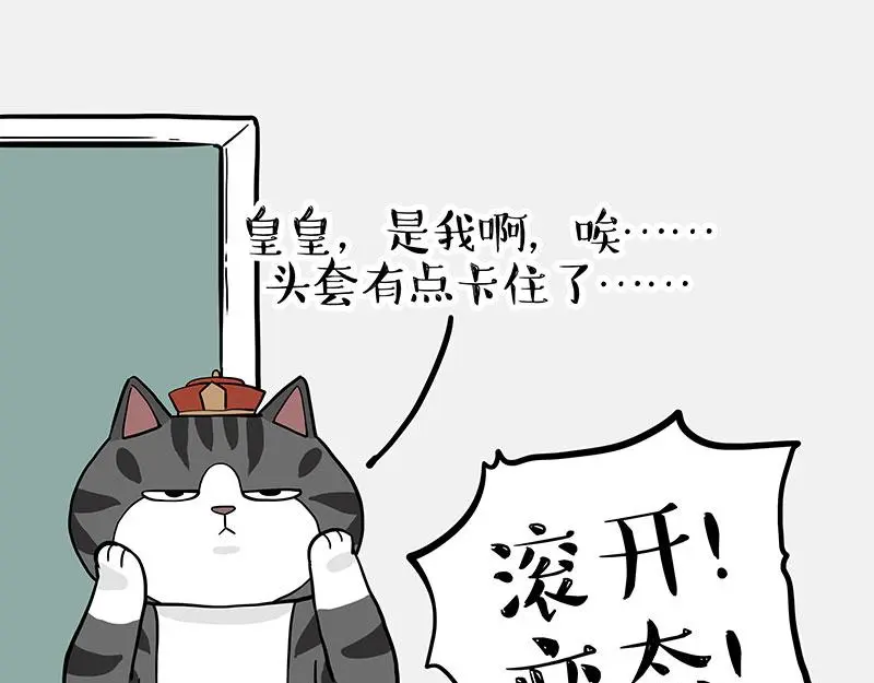 第325话 你不守猫德 第17页