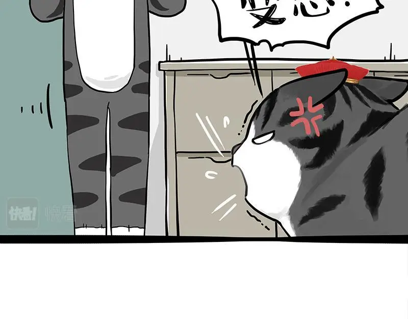 第325话 你不守猫德 第18页