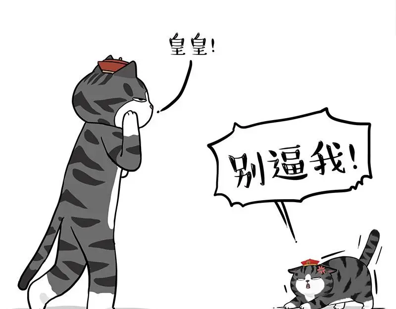 第325话 你不守猫德 第19页