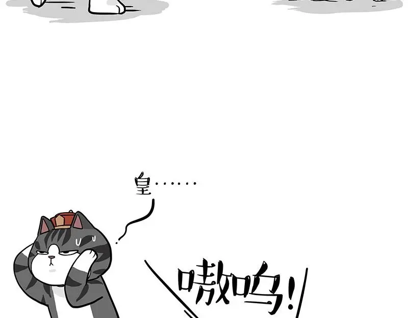第325话 你不守猫德 第20页