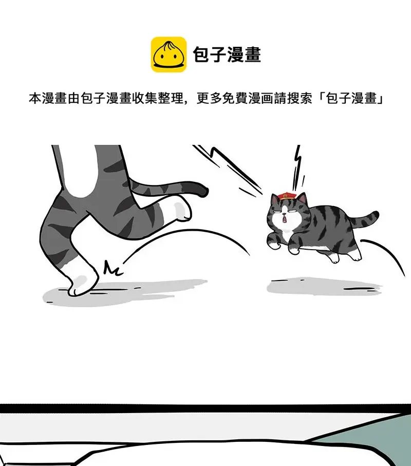 第325话 你不守猫德 第21页