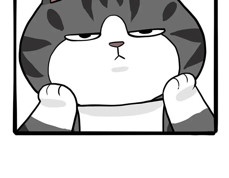第325话 你不守猫德 第30页