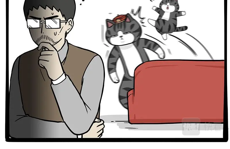 第325话 你不守猫德 第33页