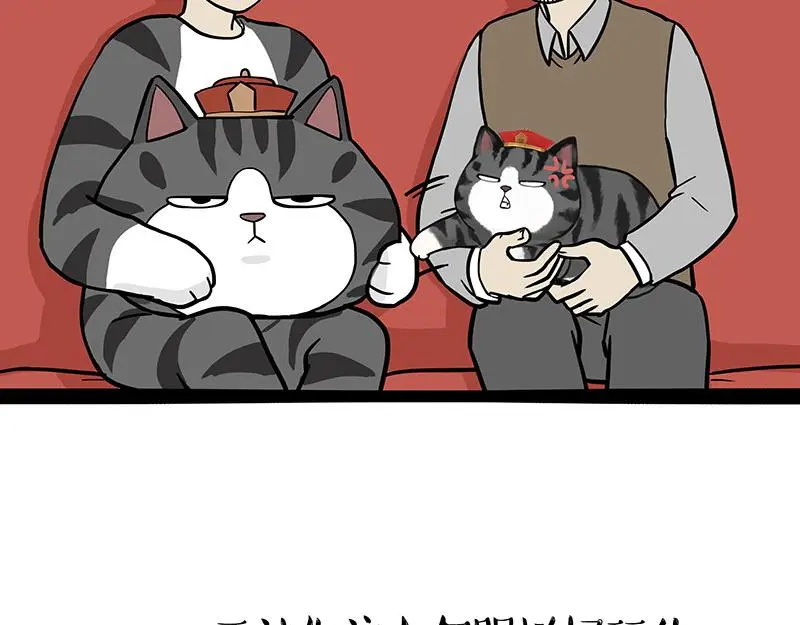 第325话 你不守猫德 第35页