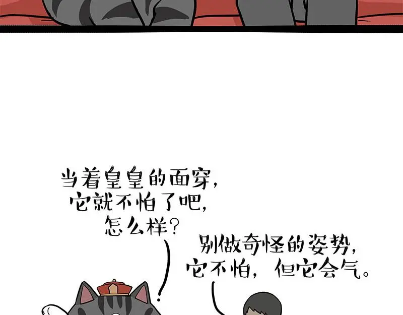 第325话 你不守猫德 第37页