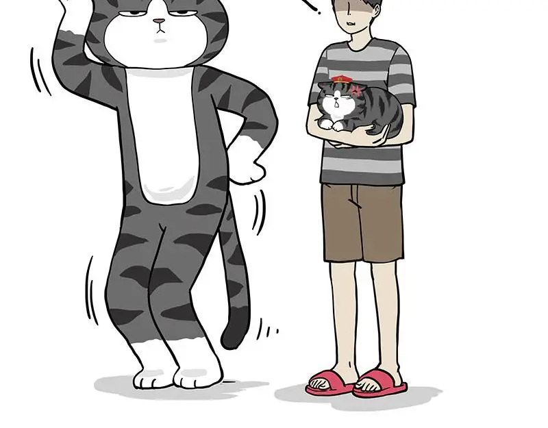 第325话 你不守猫德 第38页