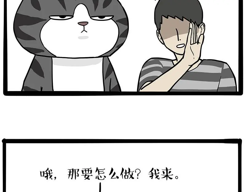 第325话 你不守猫德 第40页