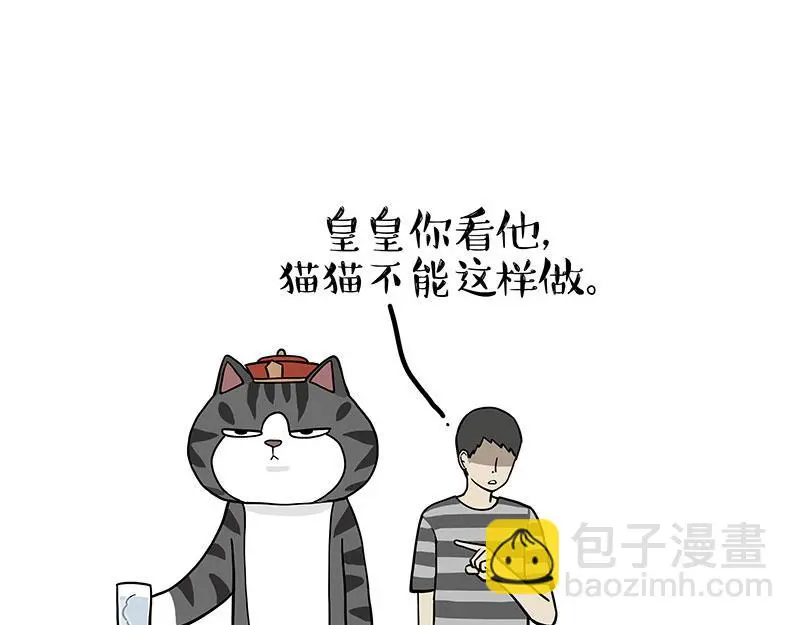 第325话 你不守猫德 第42页