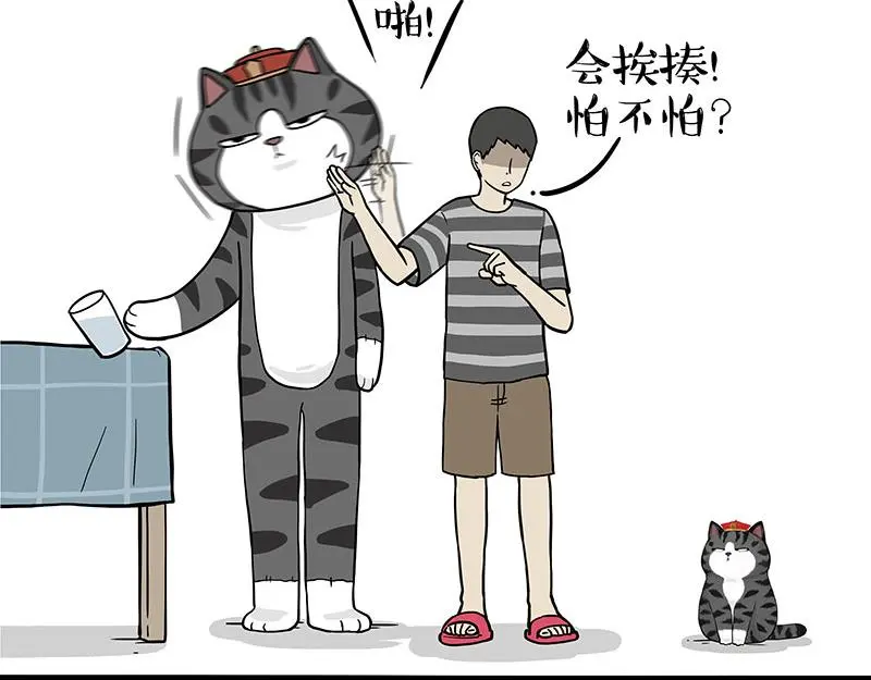 第325话 你不守猫德 第44页