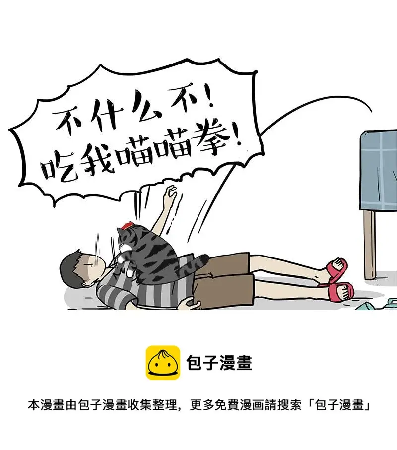 第325话 你不守猫德 第51页