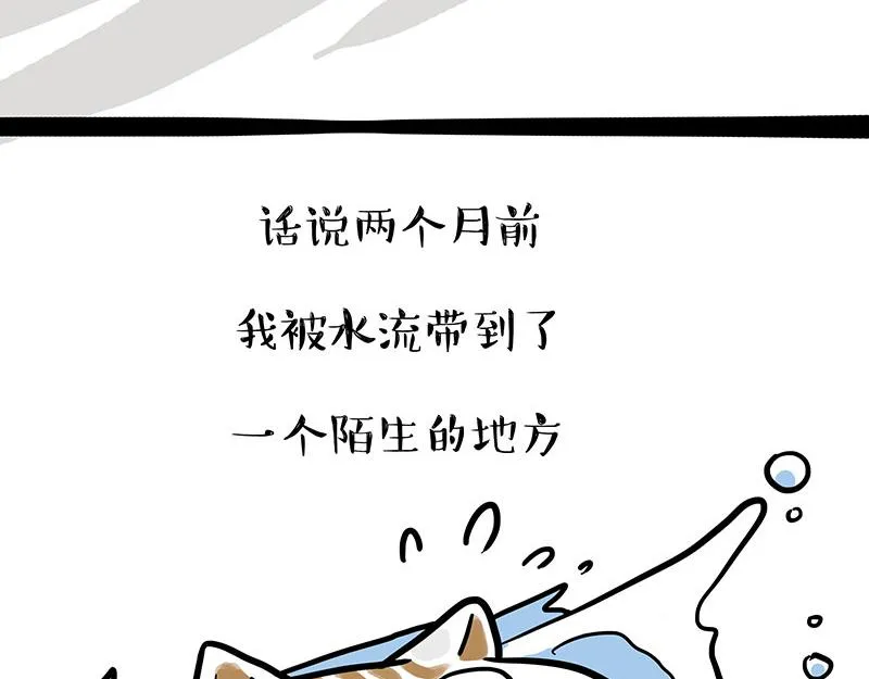 第339话 傲霸，上岸了！ 第12页