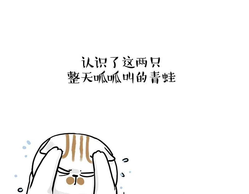 第339话 傲霸，上岸了！ 第14页