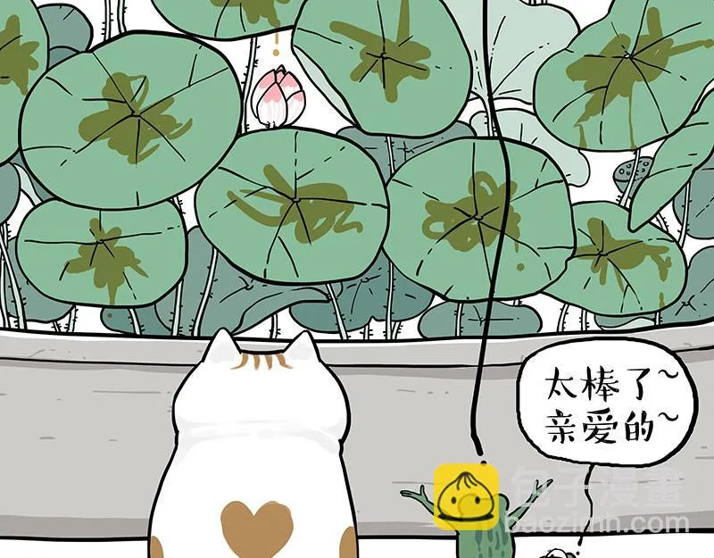 第339话 傲霸，上岸了！ 第53页