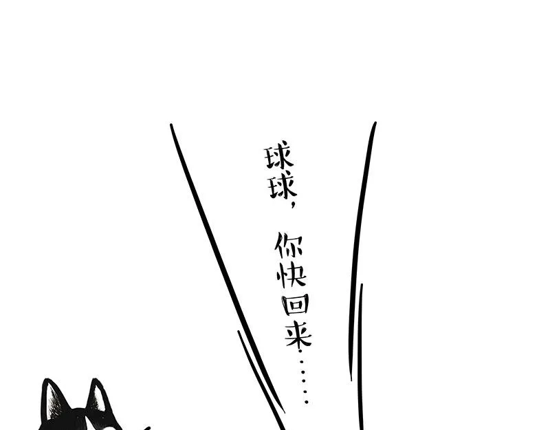 第337话 下辈子报仇 第17页