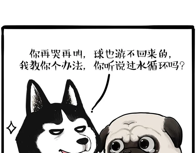 第337话 下辈子报仇 第19页