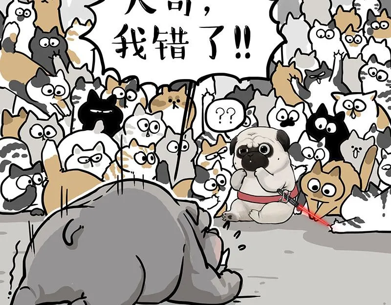 第337话 下辈子报仇 第46页