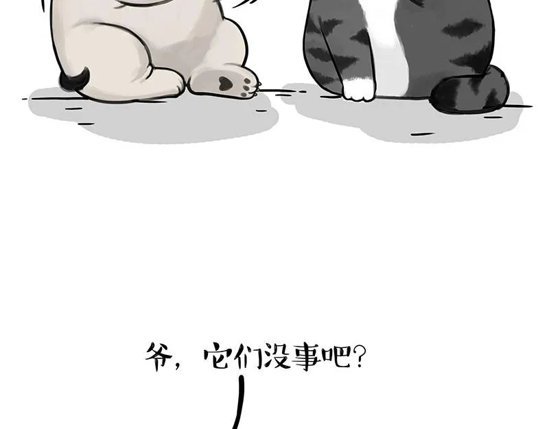 第336话 “告别”仪式 第15页