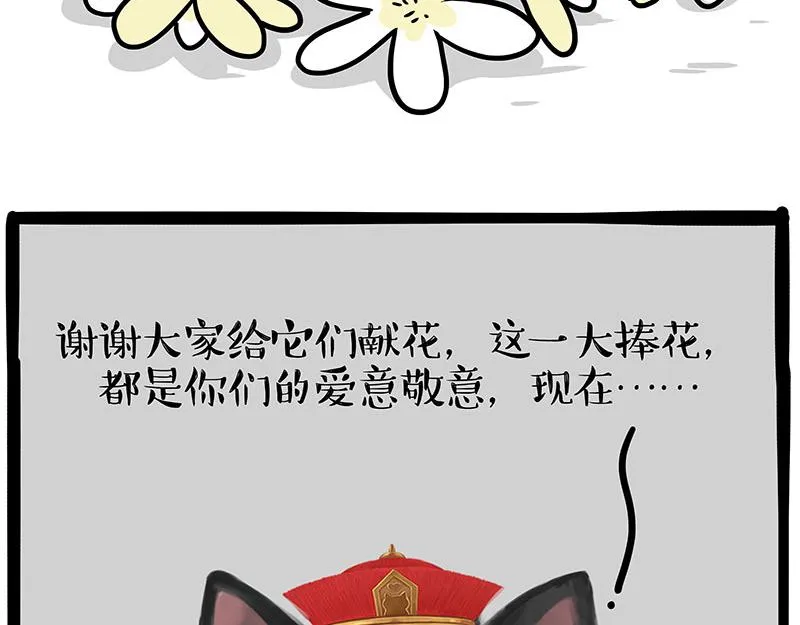 第336话 “告别”仪式 第46页
