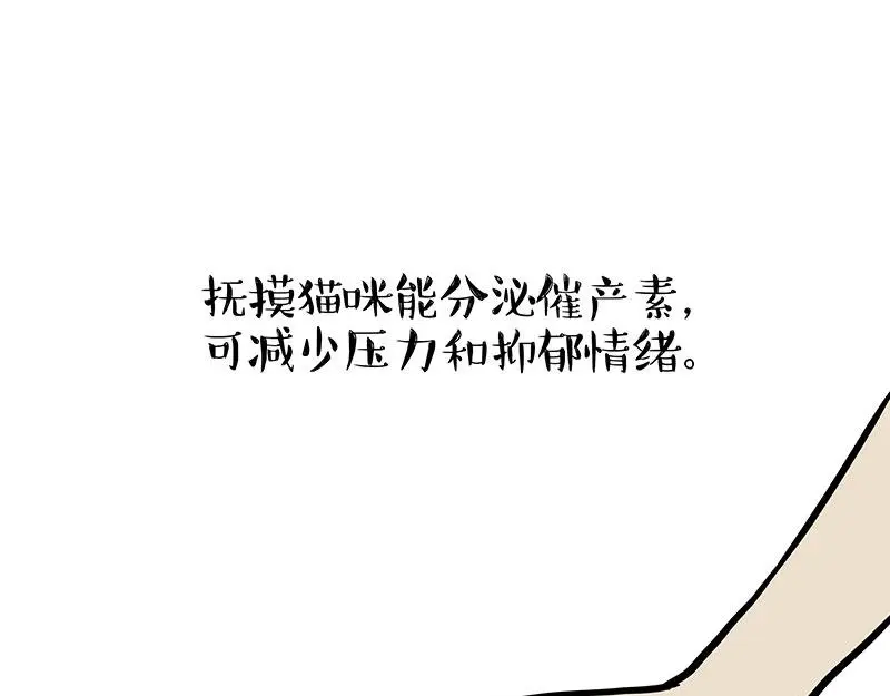 第333话 养啥好？ 第1页