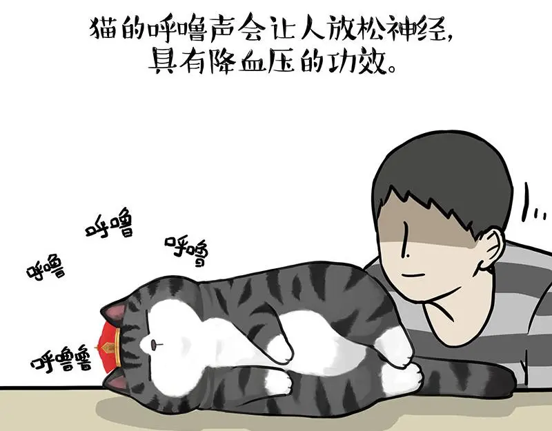 第333话 养啥好？ 第5页