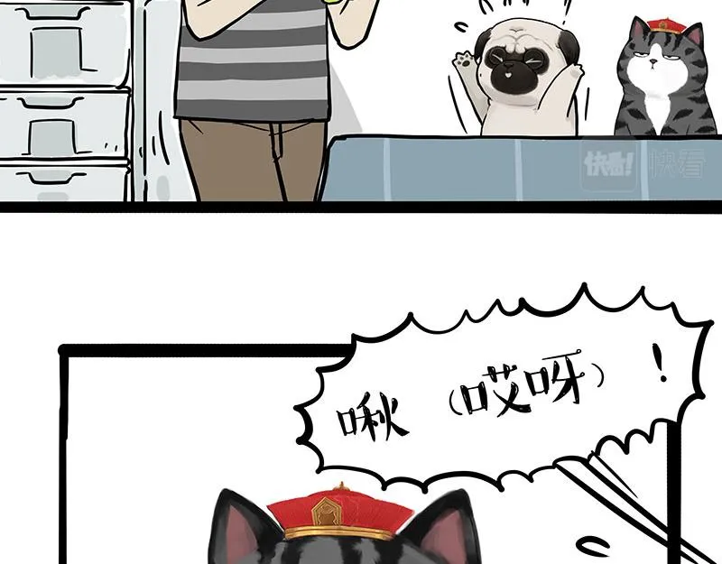 第335话 你太菜了 第2页