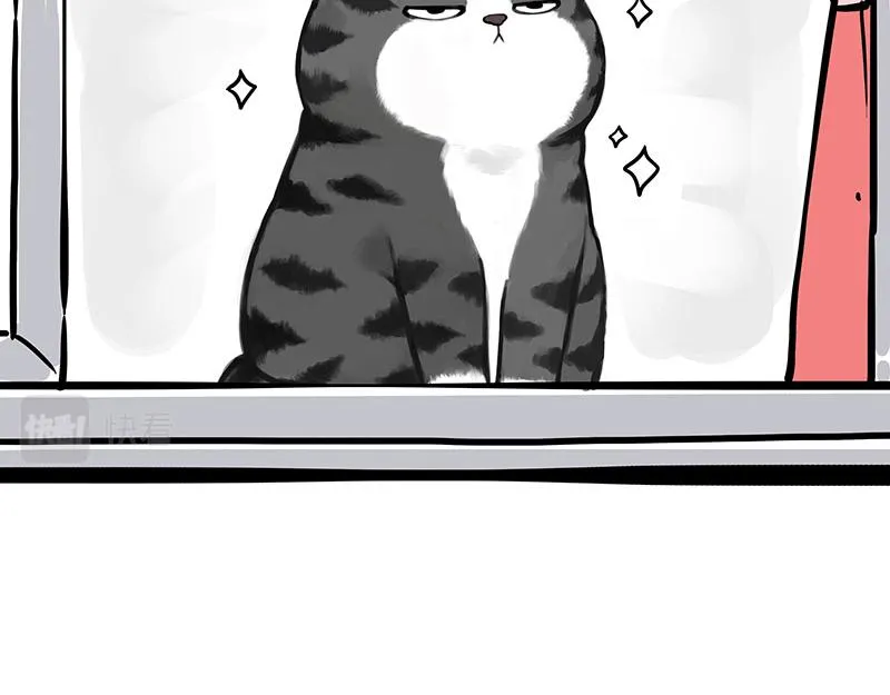 第343话 喵生哲学 第11页