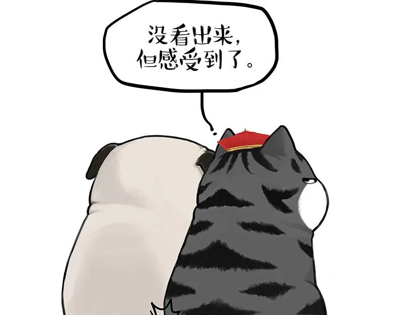第343话 喵生哲学 第15页