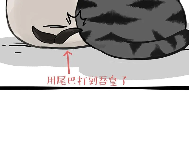 第343话 喵生哲学 第17页