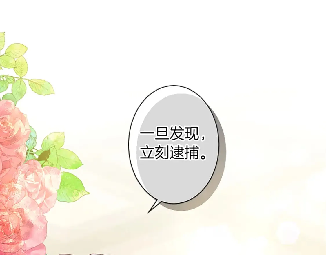 第17话 露雅的计策 第123页