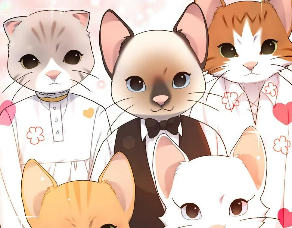 第31话 猫人搓澡 第11页
